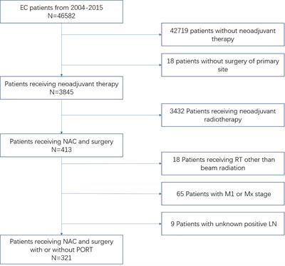 No survival benefit could be obtained from adjuvant radiotherapy in esophageal cancer treated with neoadjuvant chemotherapy followed by surgery: A SEER-based analysis